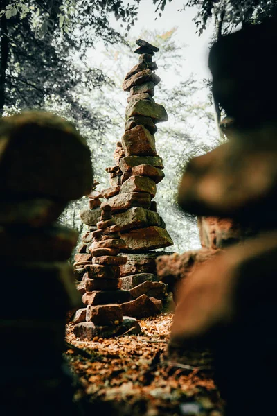 Vertikal Bild Stenar Staplade Varandra Skog — Stockfoto