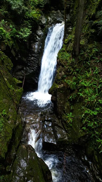 Vista Vertical Uma Cachoeira Que Atravessa Vegetação Verde — Fotografia de Stock