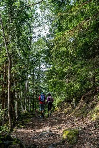 Gente Caminando Bosque —  Fotos de Stock