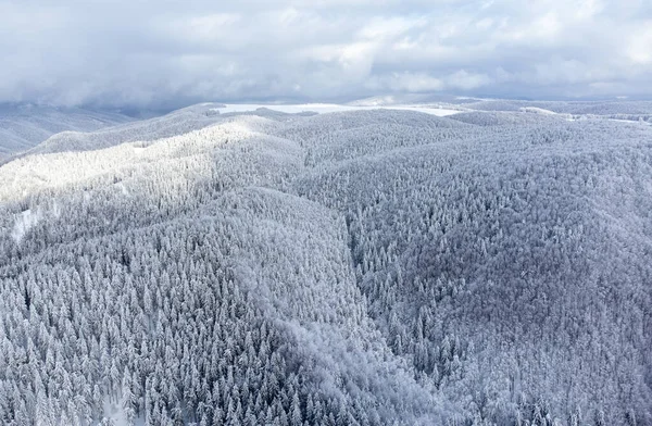 Вид Воздуха Красивый Зимний Пейзаж Горами Деревьями Покрытыми Снегом — стоковое фото