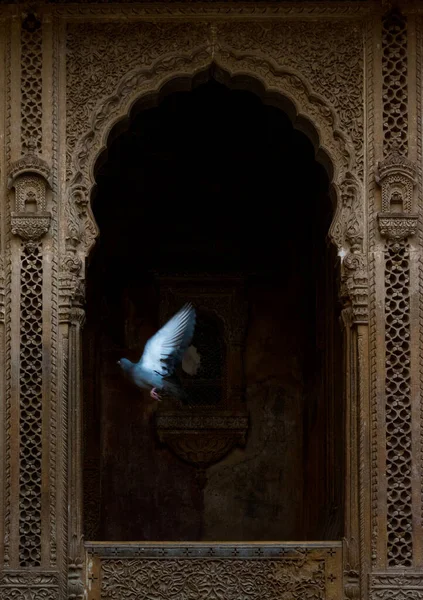 Вертикальный Снимок Голубя Летящего Старым Арочным Деревянным Резным Окном — стоковое фото