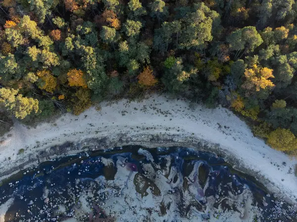 Een Bovenste Uitzicht Opname Van Een Meer Bos Tijdens Late — Stockfoto