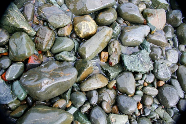 Closeup Shot Wet Beach Stones Ground — Stock Photo, Image