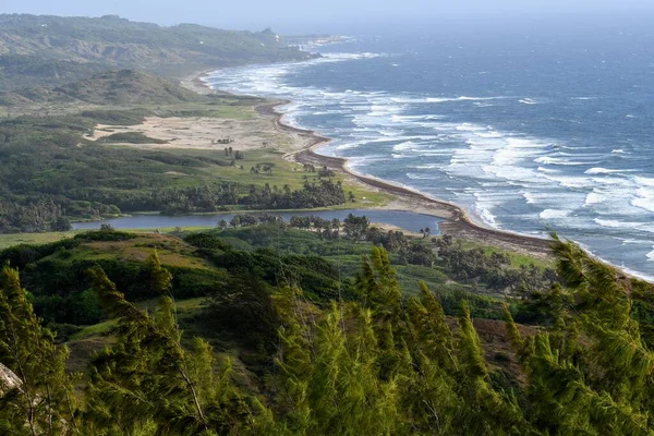 Uma Bela Vista Paisagem Rio Que Atravessa Campos Verdes Lado — Fotografia de Stock