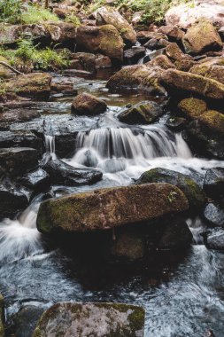Padley Gorge, Peak District Ulusal Parkı, İngiltere