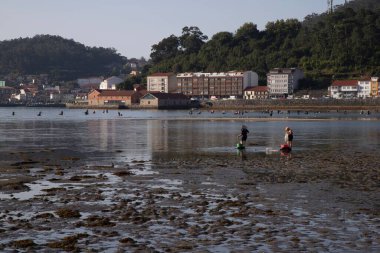 Galiçya sahillerindeki kirli deniz manzarası