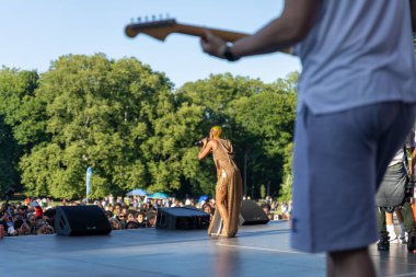 Prospect Park Brooklyn 'deki 13. Haziran kutlamasında kalabalık bir konser