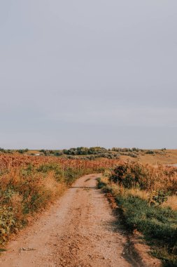 Kuru bir alanda çamurlu bir yolun dikey çekimi.