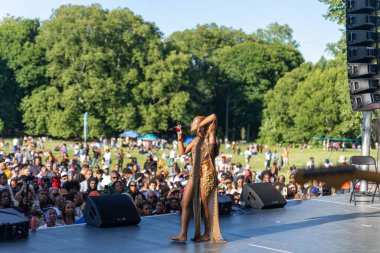 Prospect Park Brooklyn 'deki 13. Haziran kutlamasında kalabalık bir konser
