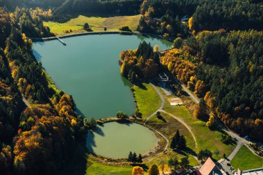Ağaçlarla çevrili bir göl kuşbakışı.