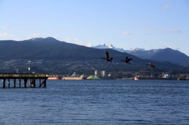 Vancouver Limanı 'nın arka planında Britanya Kolumbiyası, Kanada' da kargo gemileri ve dağlar var.