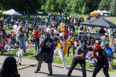 Güneşli bir günde Prospect Park Brooklyn 'de düzenlenen 13. Haziran kutlamasında bir kalabalık.
