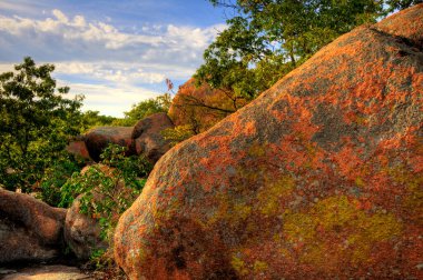 Missouri 'deki St. Francois Dağları' ndaki Fil Kayaları Eyalet Parkı 'nda renkli granit kayalıklara yakın çekim.