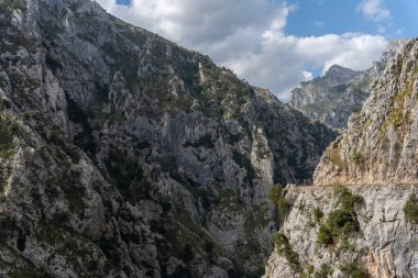 Yeşilliklerle kaplı güzel bir dağ manzarası.