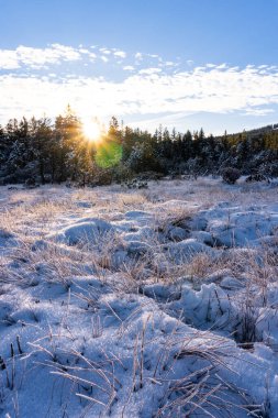 Vorarlberg, Fohramoos, Avusturya 'da karlı bir bataklığın dikey görüntüsü