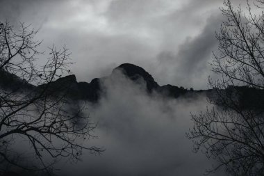 Sisin içindeki dağların manzarası ve ön planda ağaç dalları.