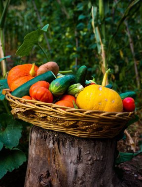 Tahtada sebze dolu bir sepet