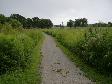 Missouri 'deki kır çiçekleri bölgesinde yürüyüş parkurunun manzarası.