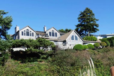 Newport, Oregon, ABD 'deki ormandaki binaların düşük açılı görüntüsü.