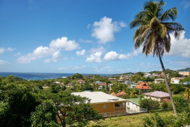 Palmiyeleri, mavi denizi ve gökyüzü olan tropikal adanın panoramik görüntüsü