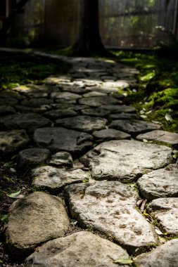 Bahçede güneş gözlüğü olan taştan kaldırıma yakın bir yer.