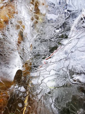 Üzerinde portakal yaprağı olan yarı şeffaf bir buzul parçasının yakın çekimi.