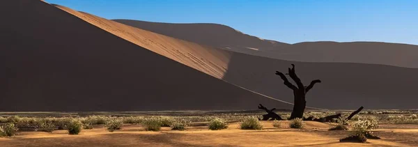Namibia Die Wüste Namib Tote Akazien Toten Tal Die Roten — Stockfoto