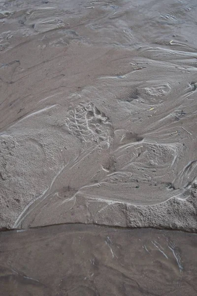 纹理湿沙的垂直特写 — 图库照片