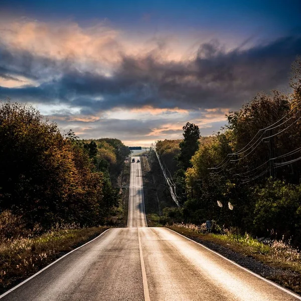 Uma Estrada Meio Árvores Sob Dia Nublado — Fotografia de Stock