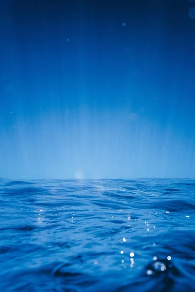 Tiro Vertical Uma Visão Estética Subaquático — Fotografia de Stock