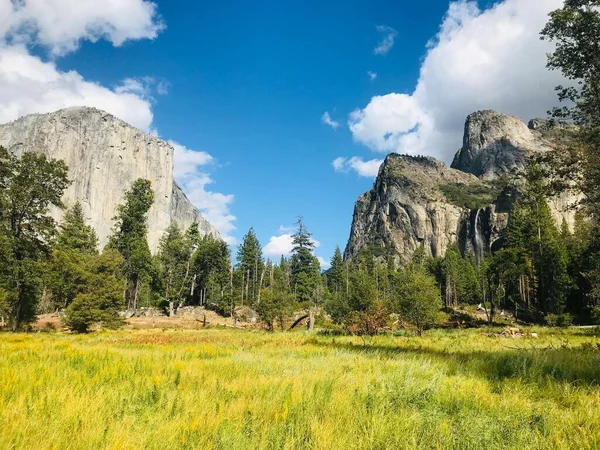 Zielony Krajobraz Drzewem Skalistymi Urwiskami Yosemite National Park — Zdjęcie stockowe