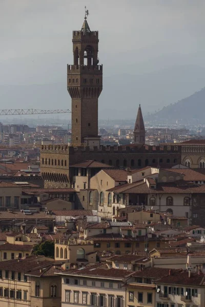 Plano Vertical Hermoso Paisaje Urbano Florencia Toscana Italia — Foto de Stock