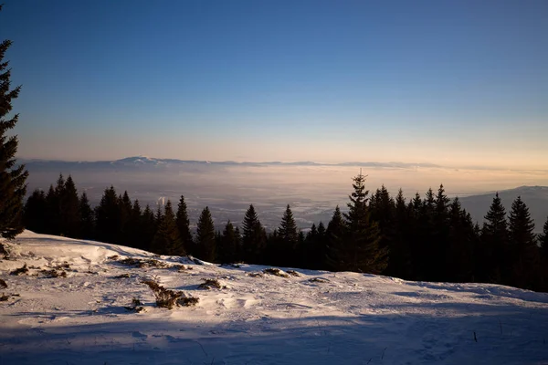 Zimowy Las Bajki Śnieżna Polana Błękitne Niebo — Zdjęcie stockowe