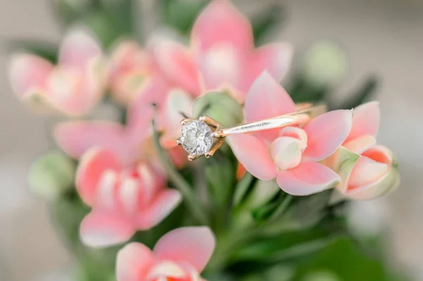 ピンクの花に結婚指輪のクローズアップショット — ストック写真