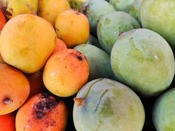 Sarı Carabao Mangoları Yeşil Mango Harum Mangolarla Yan Yana Bir — Stok fotoğraf