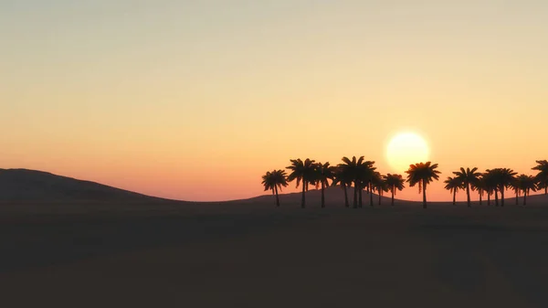 Illustration Silhouette Desert Palms Sunset — Stock Photo, Image