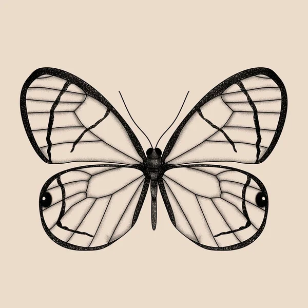 Rocznik Motyl Ilustracja Dla Tatuaż — Zdjęcie stockowe
