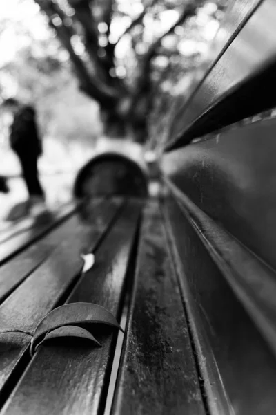 Вертикальный Снимок Деревянного Стола Парке Черно Белом — стоковое фото