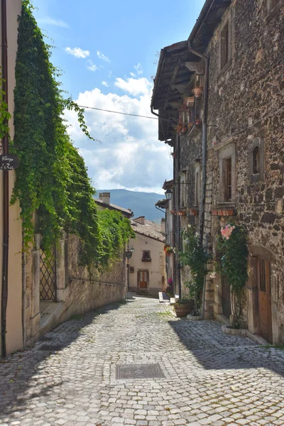帕切洛 一座狭窄的街道 在古老的石楼中点缀着鲜花 — 图库照片