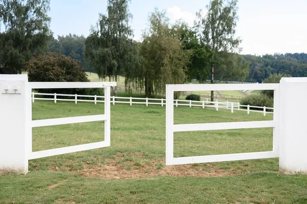 Beautiful Shot White Gates Field — Stock Photo, Image