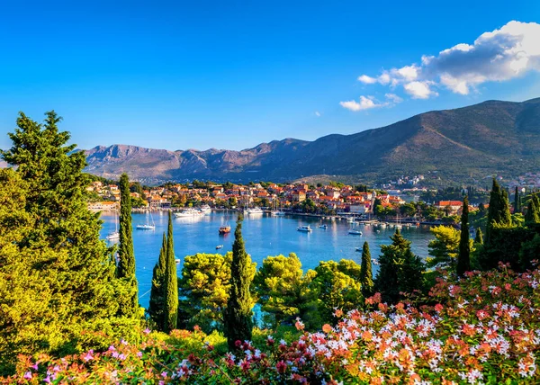 Beautiful View Montenegro Town Kotor Daylight — Stock Photo, Image