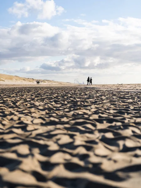 Una Hermosa Vista Del Paisaje Las Dunas Arena Soleadas Con —  Fotos de Stock