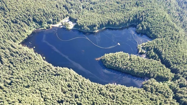 Die Luftaufnahme Vom Adlersee Umgeben Von Bäumen — Stockfoto