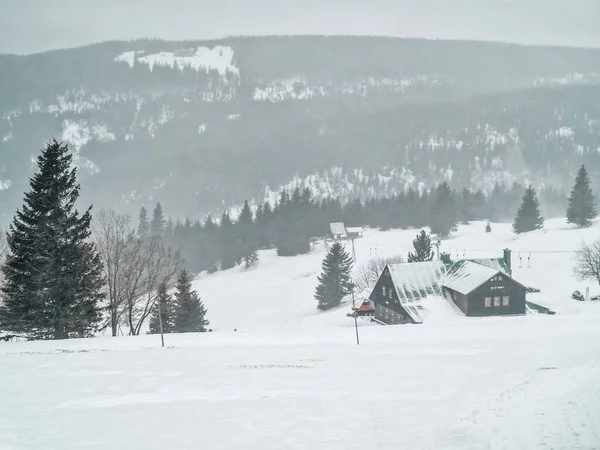 Ett Berg Och Träd Täckta Med Snö Vintern — Stockfoto