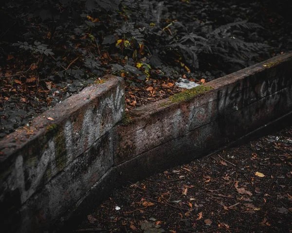 枯れた植物や落ち葉の地面に古いと汚れたフェンス — ストック写真