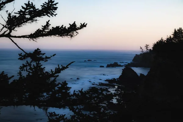 一个平静的夜晚 在一个有着云杉枝干和岩石的海洋的海滨 — 图库照片