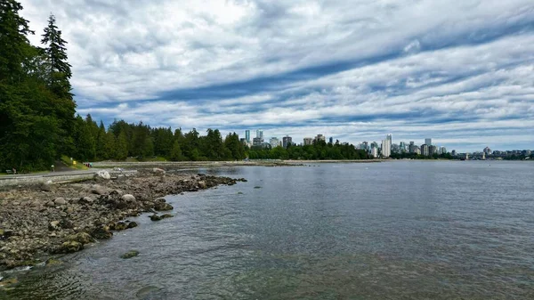 Een Prachtig Uitzicht Zee Met Bomen Het Strand Onder Bewolkte — Stockfoto