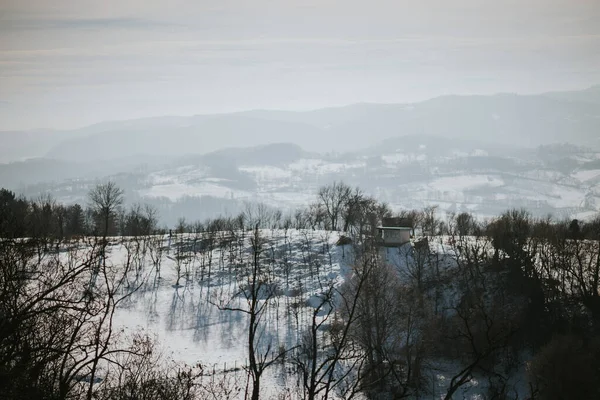 Una Vista Agghiacciante Paesaggio Innevato Una Mattina Nebbiosa — Foto Stock