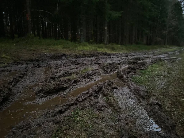 High Angle Shot Wet Muddy Frozen Road Field Evening — Stock Photo, Image