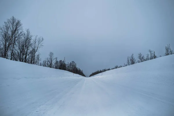 Bulutlu Bir Günde Boğuk Renklerde Bir Yolun Kış Manzarası — Stok fotoğraf